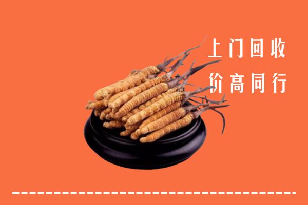 高价求购：迁西县回收散虫草