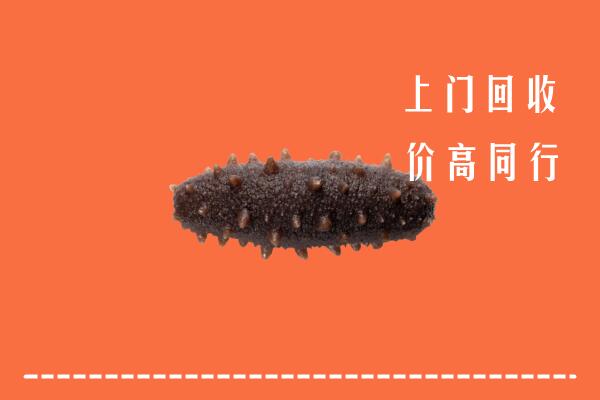 高价求购：迁西县回收海参