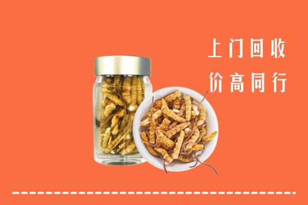 迁西县回收冬虫夏草