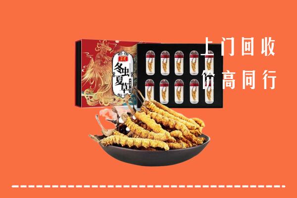 迁西县回收虫草